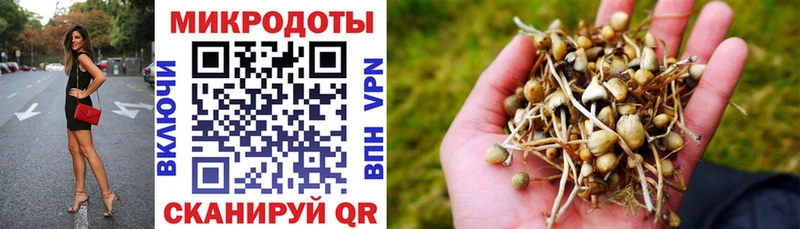 Купить  Цимлянск  Галлюциногенные грибы прущие грибы 